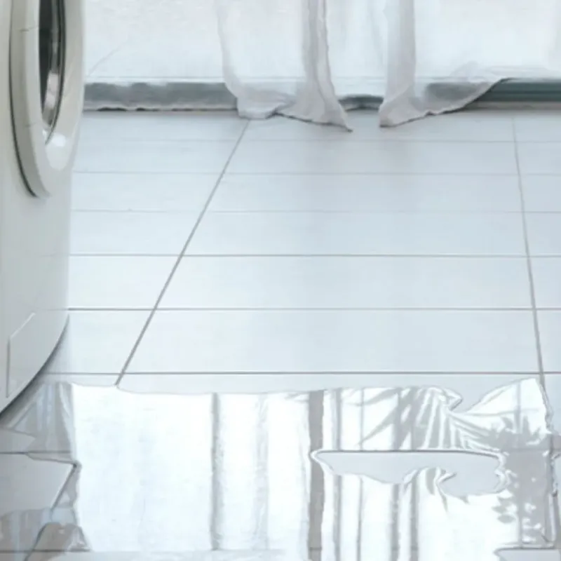 Appliance Leak Cleanup in Sumner County, TN