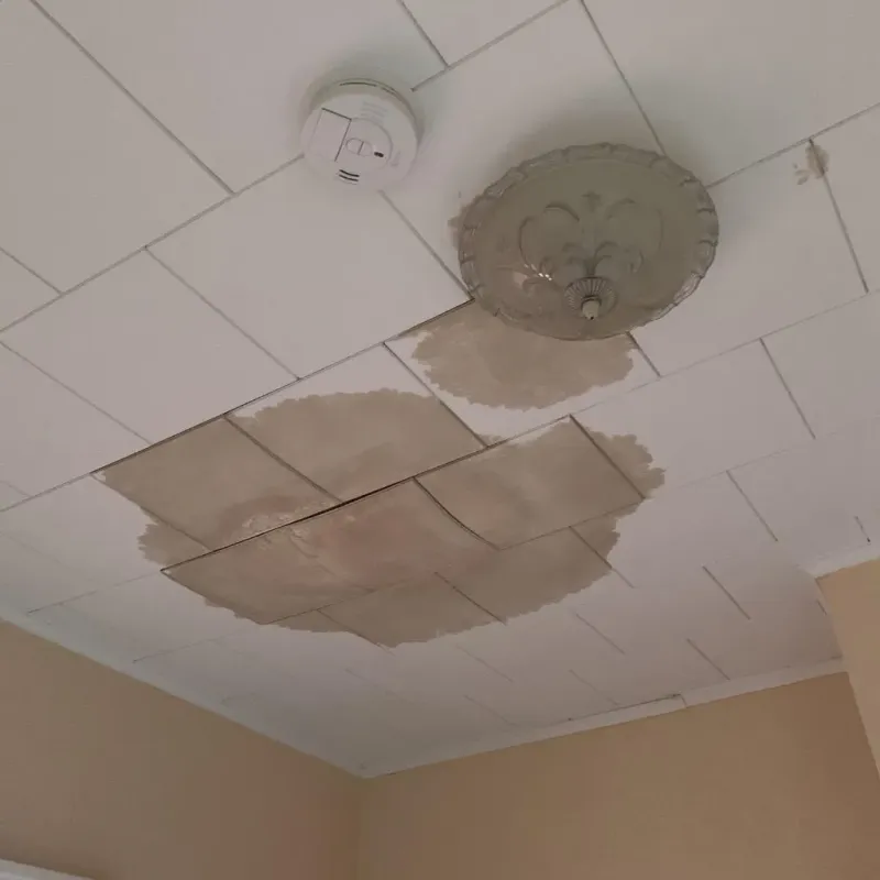 Ceiling Water Damage Repair in Sumner County, TN