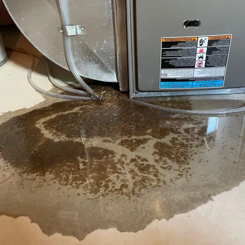 Pipe Burst and Leak Restoration in Sumner County, TN