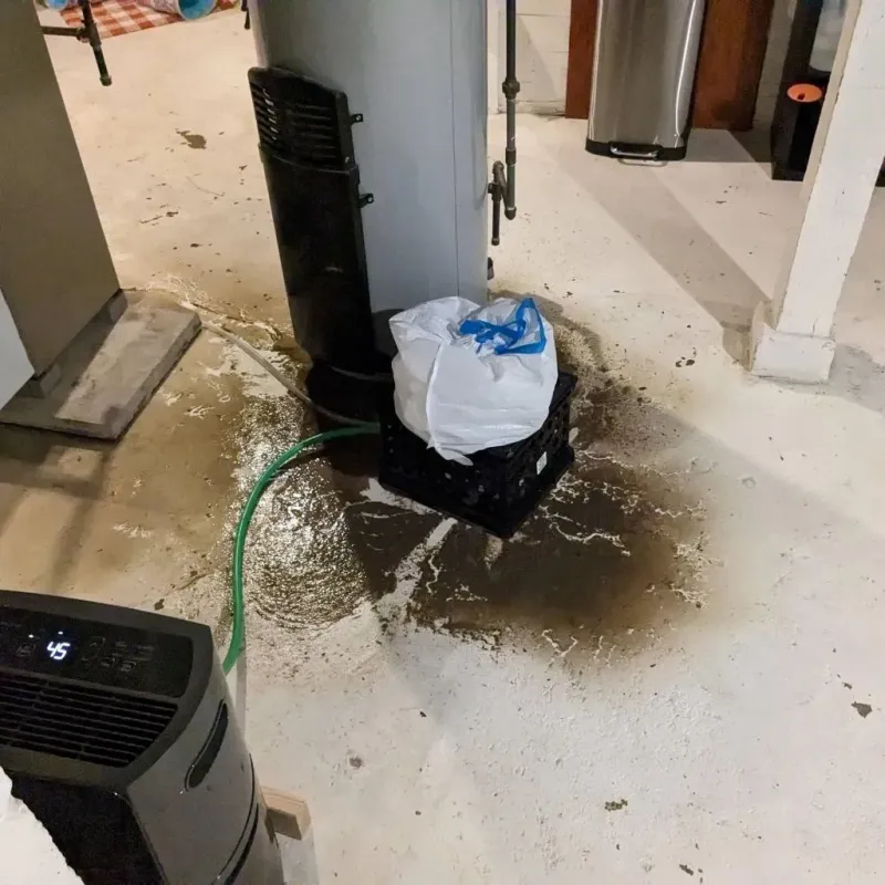Sewage Backup Cleanup Service in Sumner County, TN